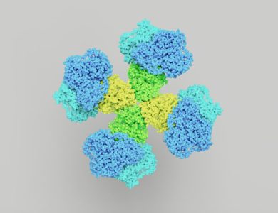 a bunch of blue and green flowers on a gray background
