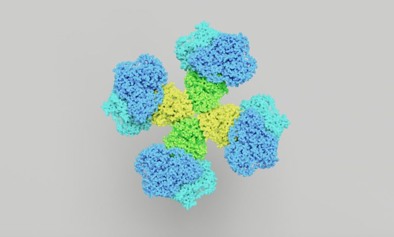 a bunch of blue and green flowers on a gray background